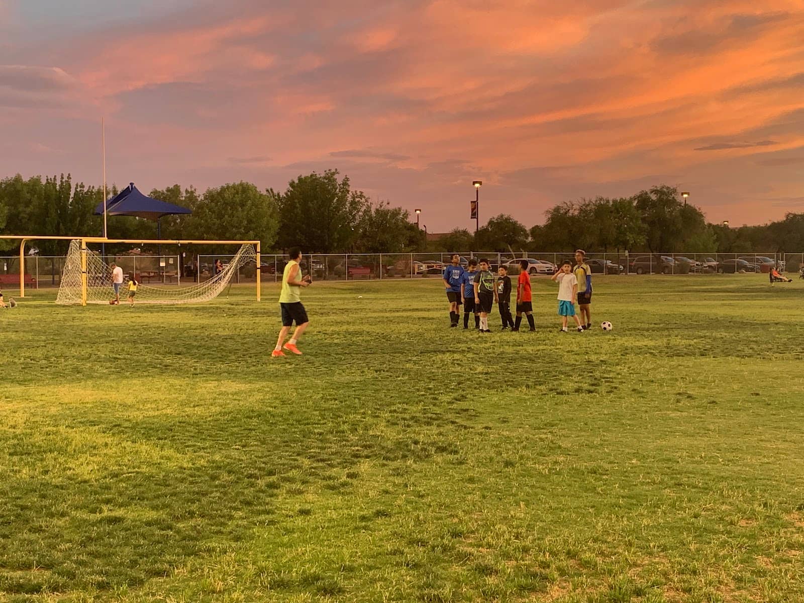 Public Art Sculptures