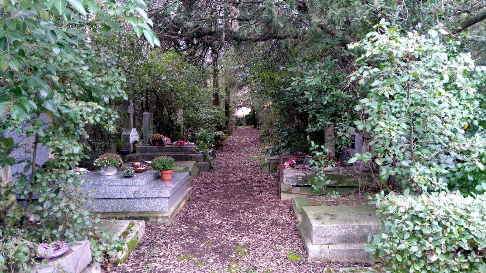 Vertical photo