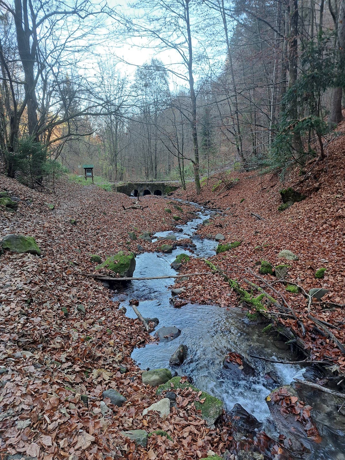 Králická Tiesňava Gorge - Image 1