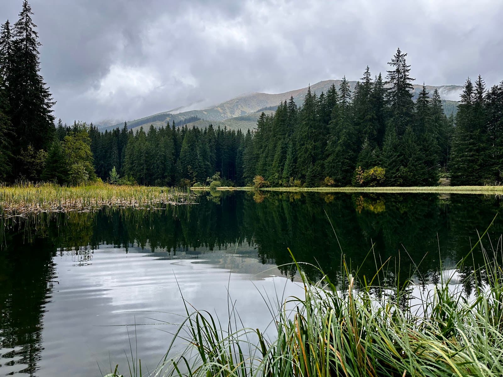 Vrbické pleso - Image 1