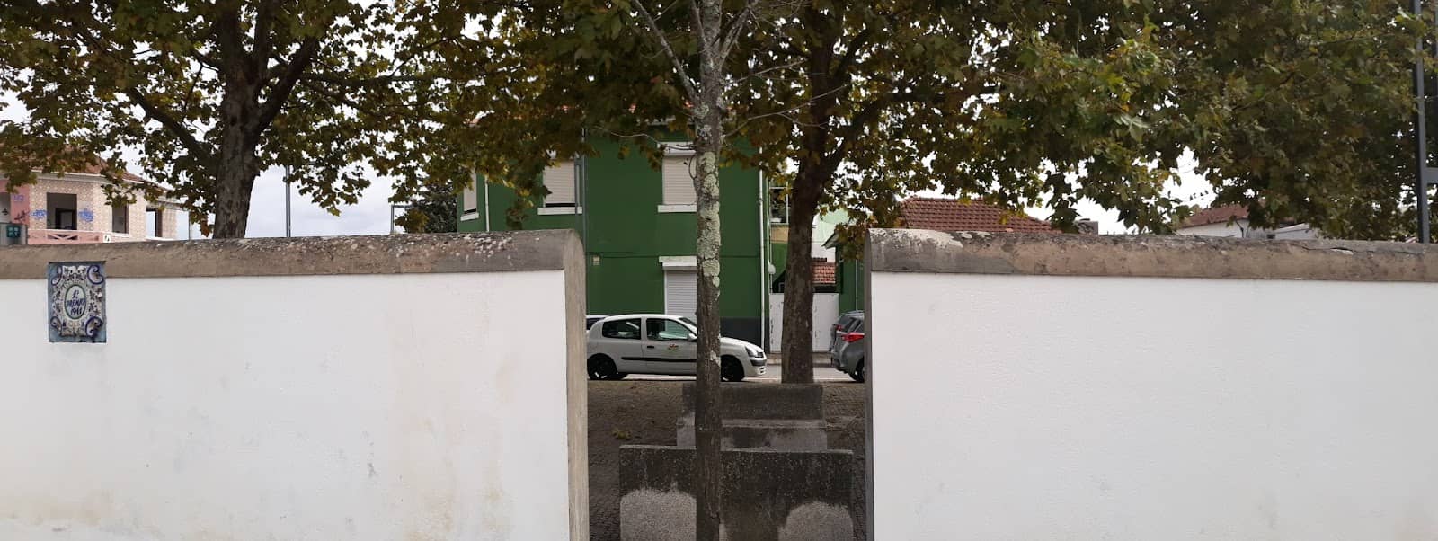 Vertical photo