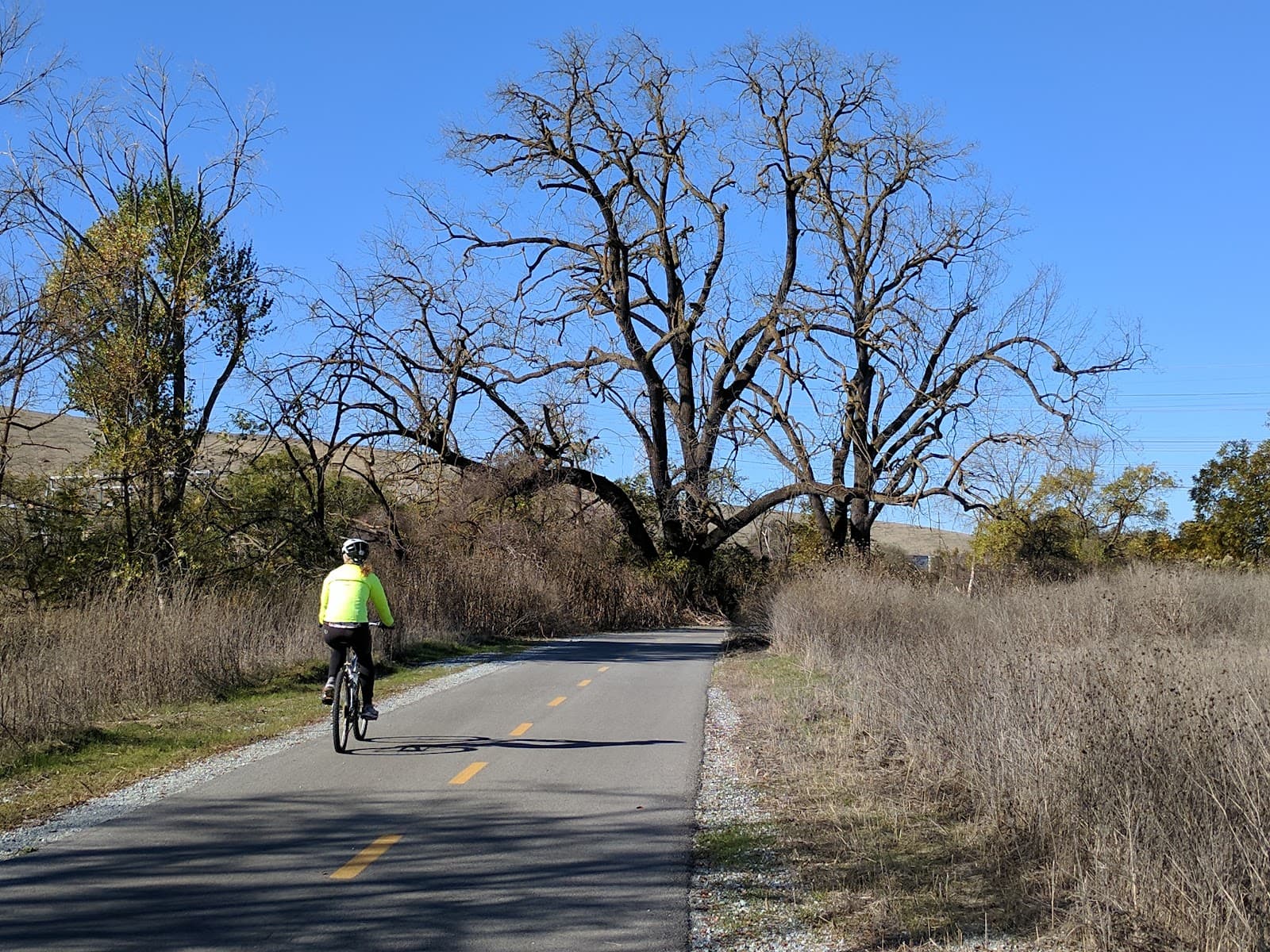 Coyote Creek Parkway San Jose - Image 1