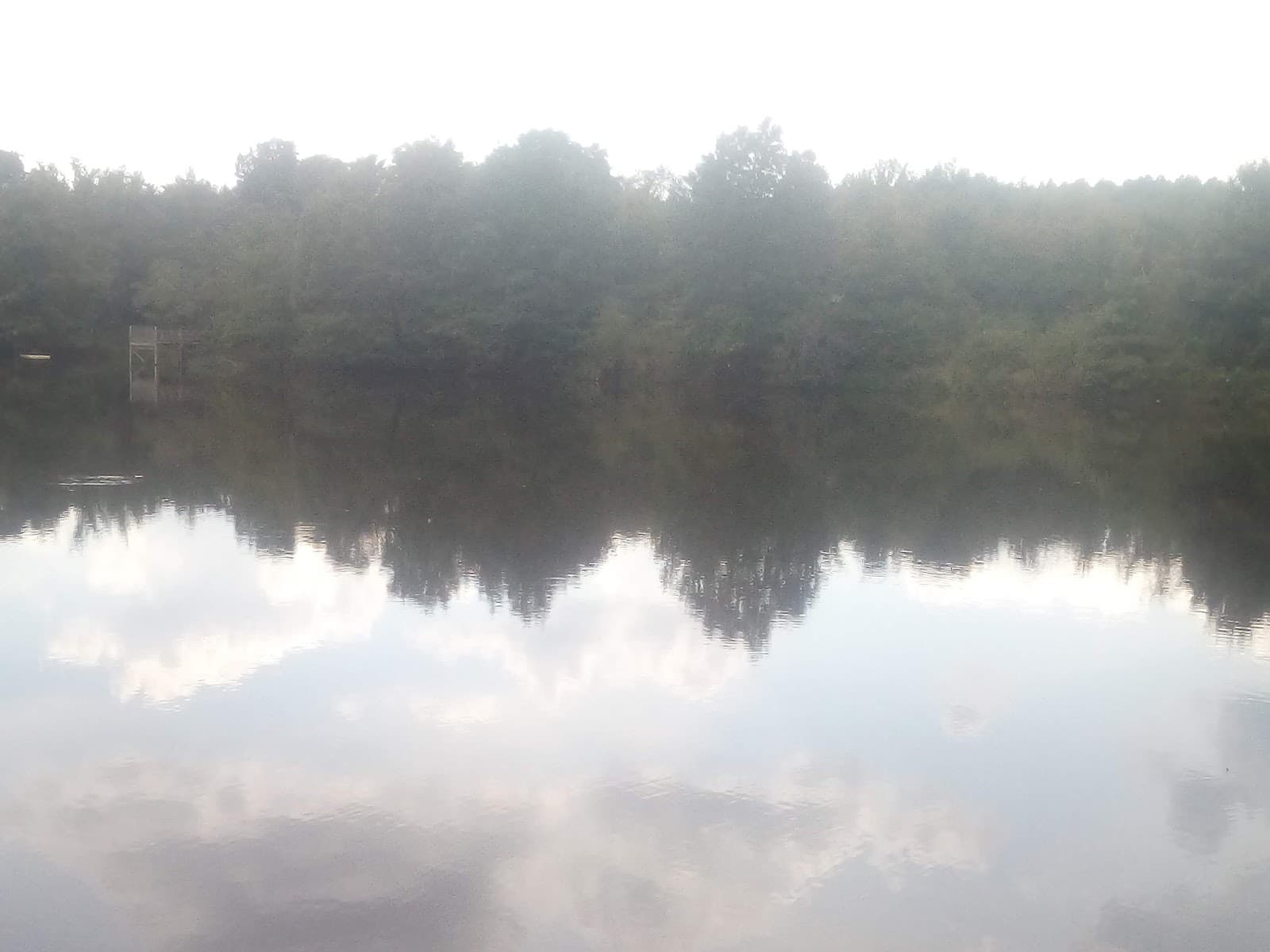 Wells Lake - Image 1