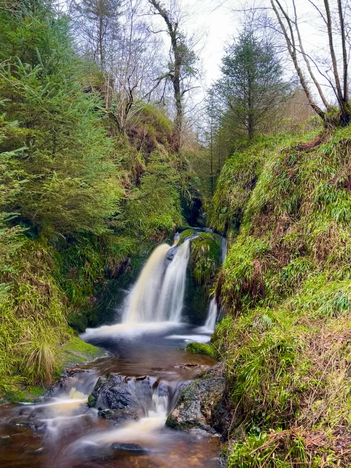 Vertical photo