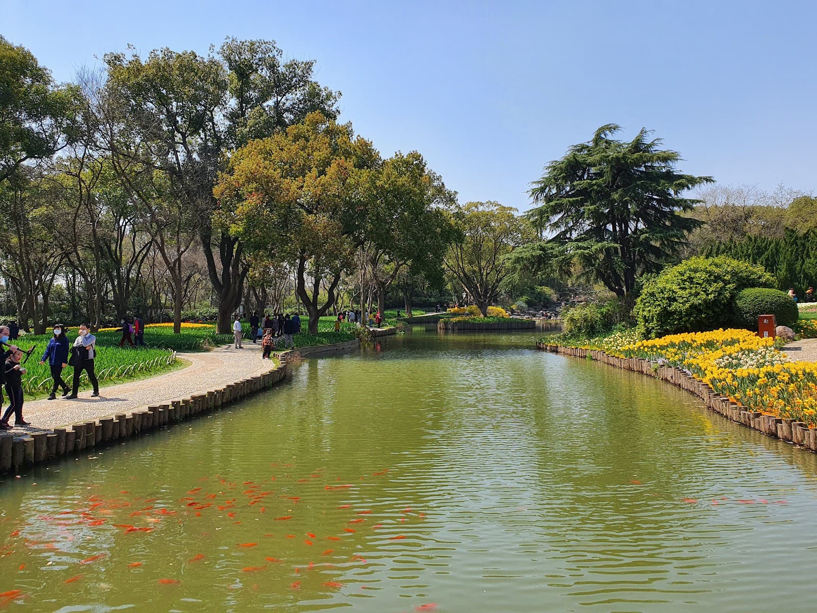 Plum Garden Meiyuan - Image 1