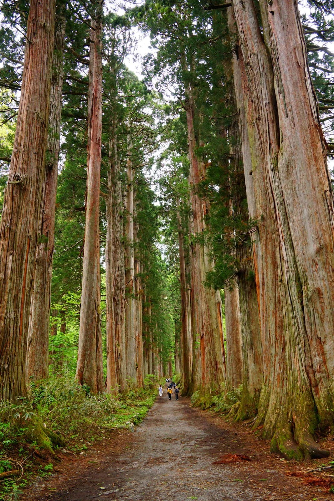 Saigawa River Promenade - Image 1