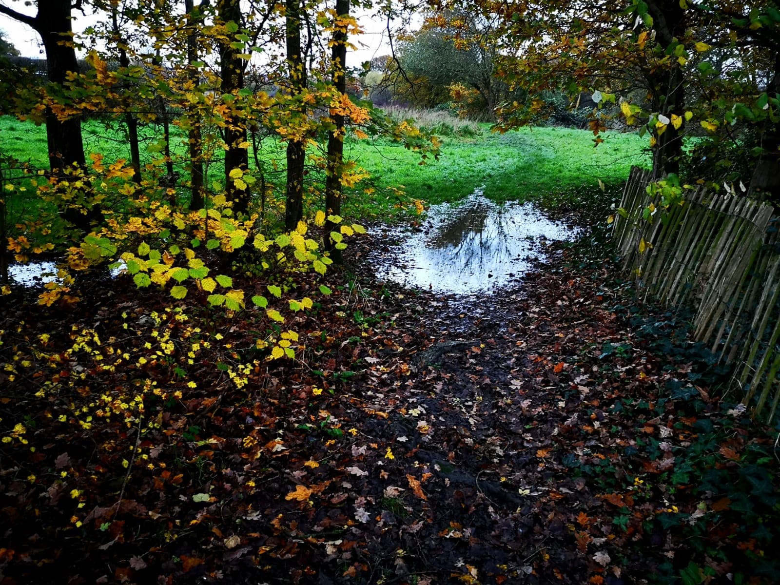 Pitshanger Village - Image 1