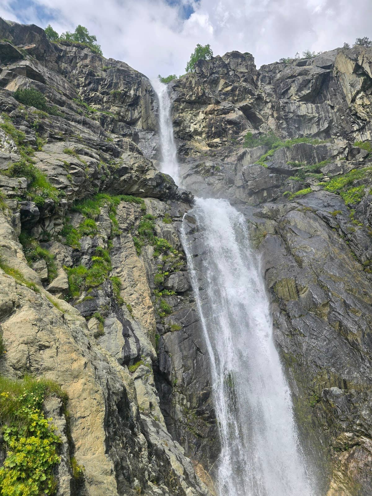 Vertical photo