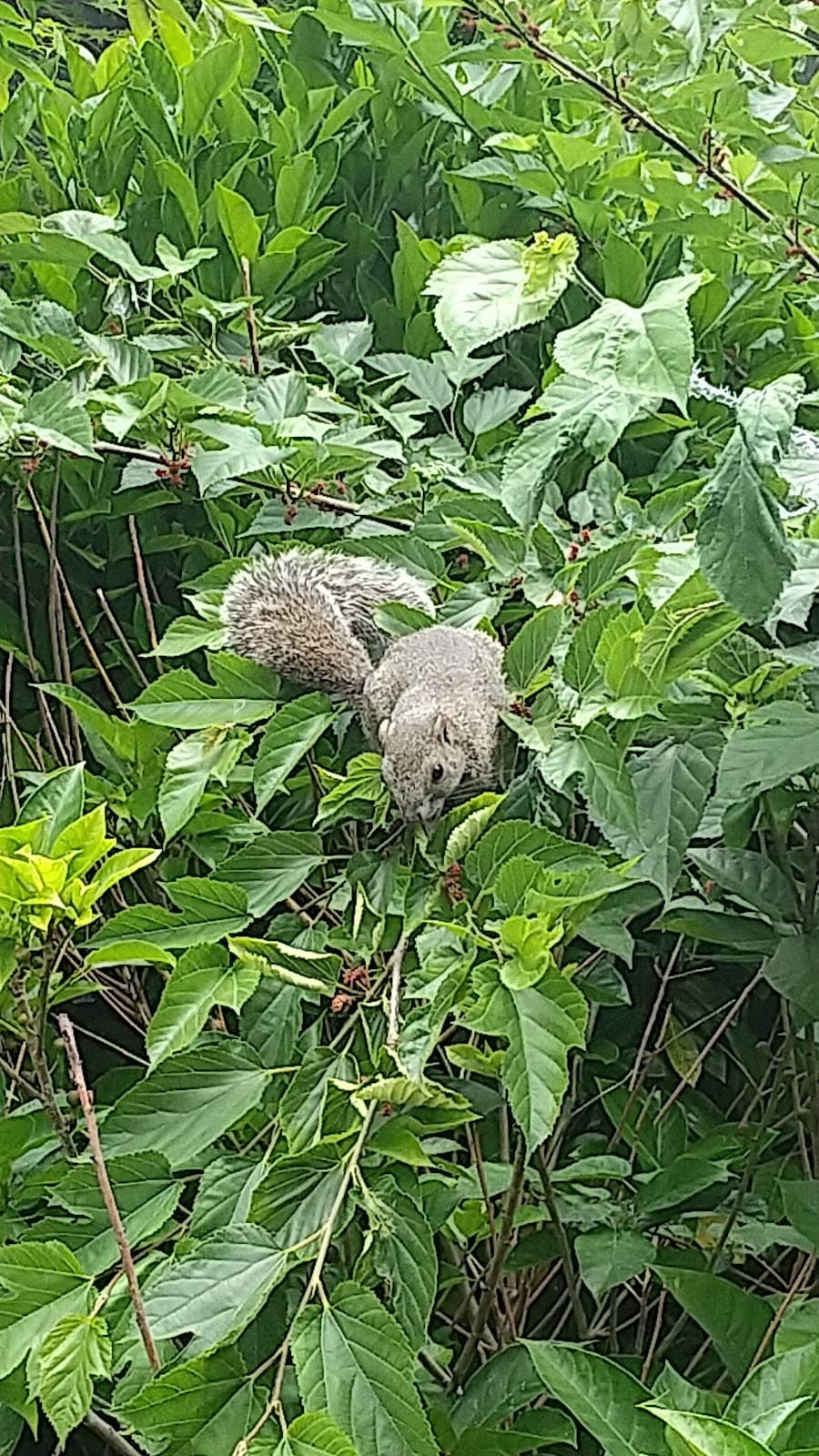 Omachi neighborhood - Image 1