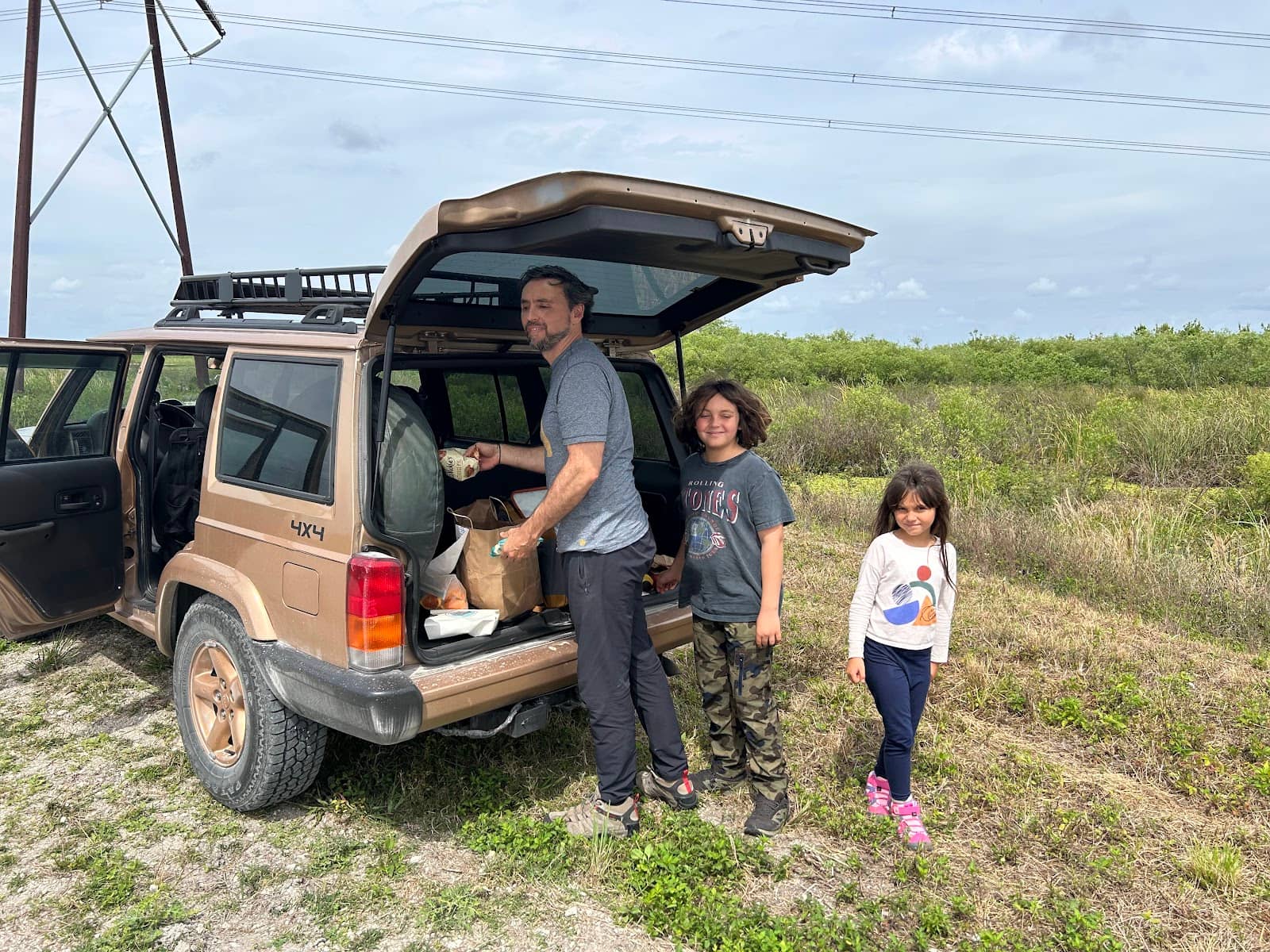 Alligator Encounters