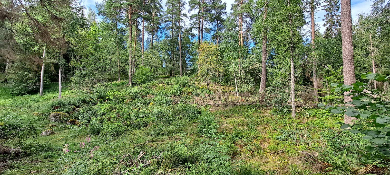 Historical Signposts