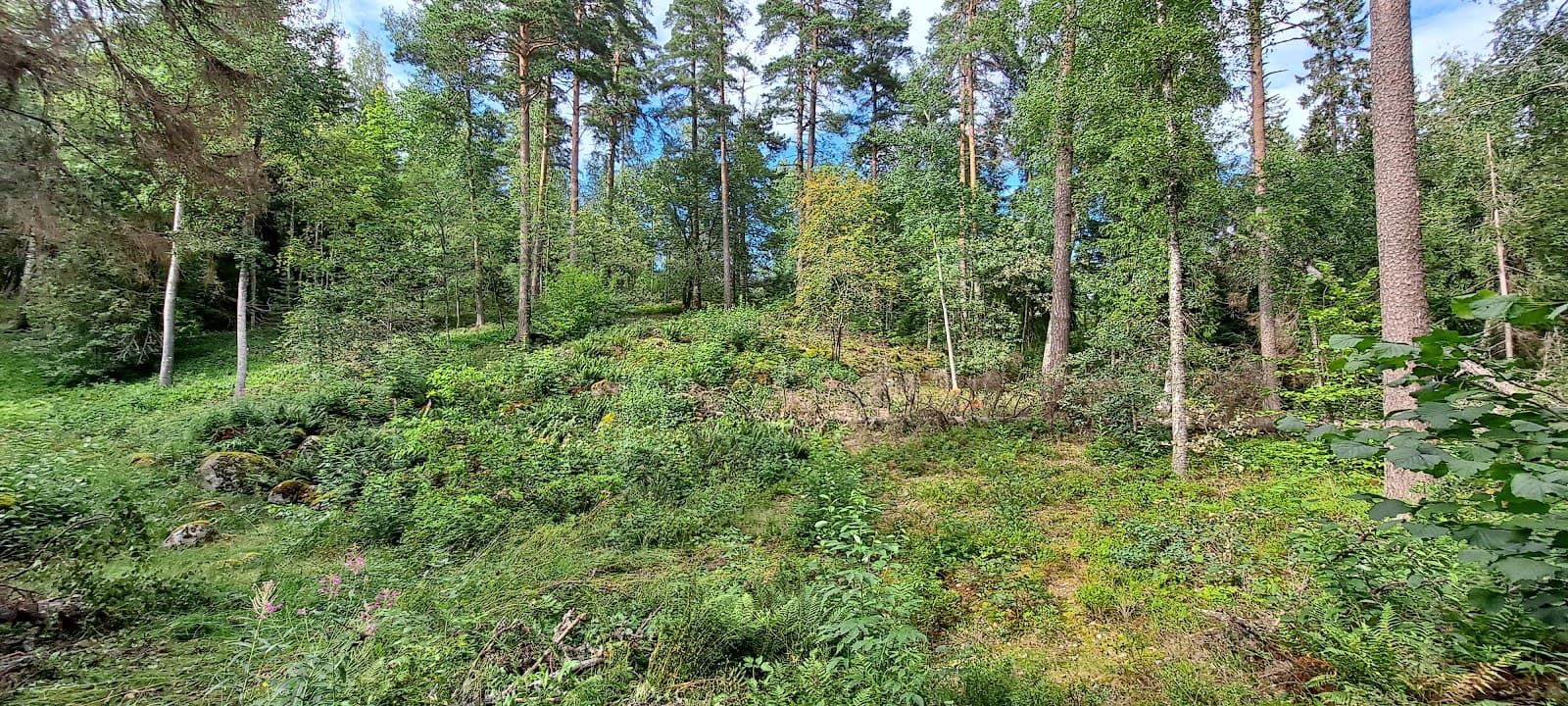 Rapola Ridge - Image 1