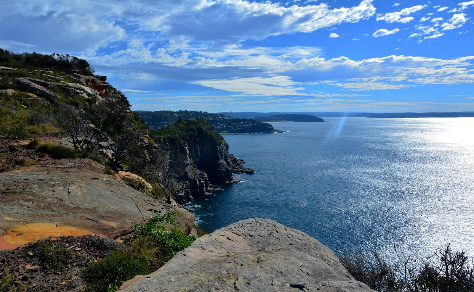 Salt-Tolerant Scrubland