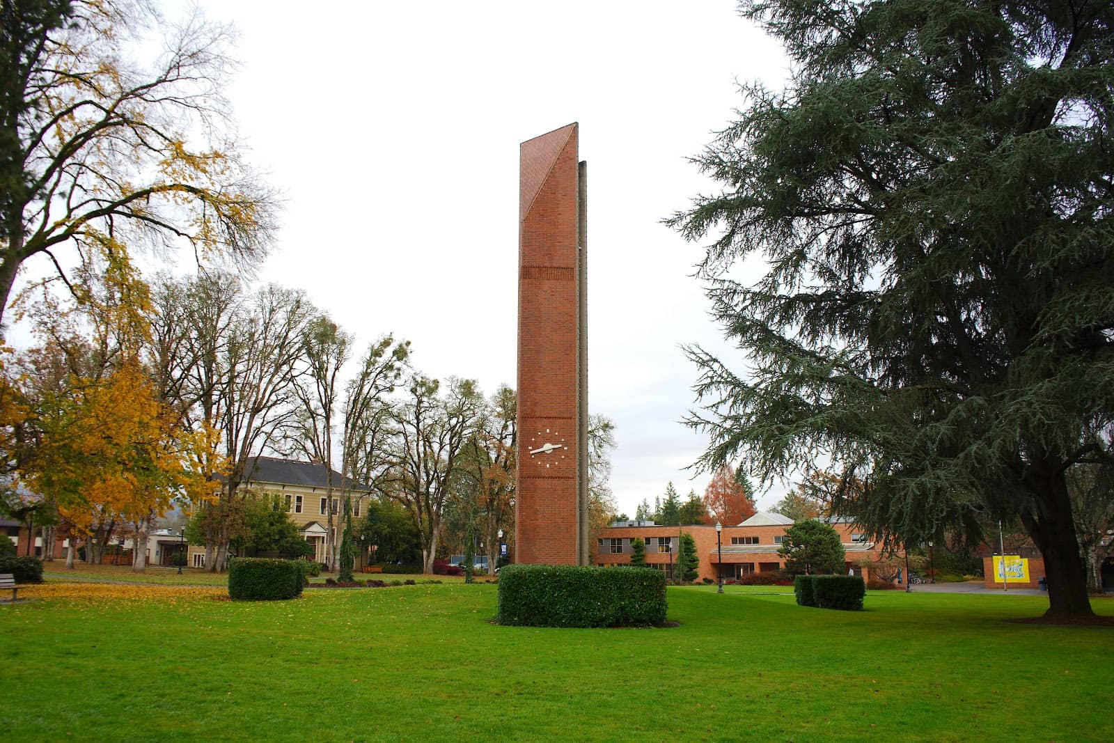 Abundant Natural Light