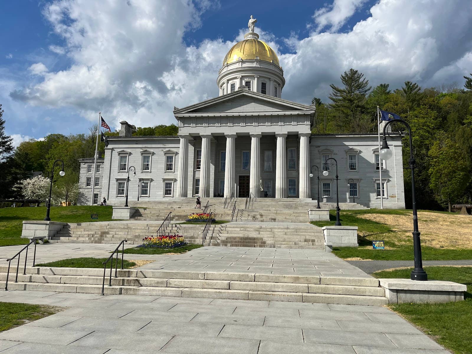 Local Bookstores & Toy Stores