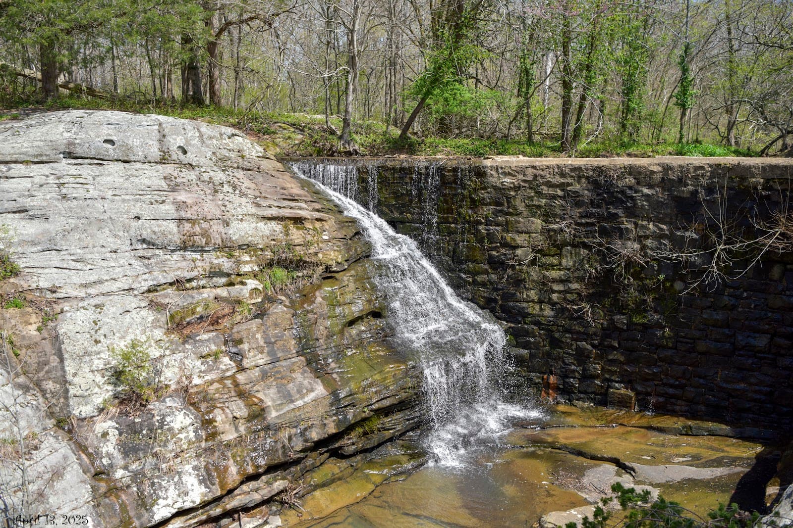 Dixon Springs State Park - Image 1