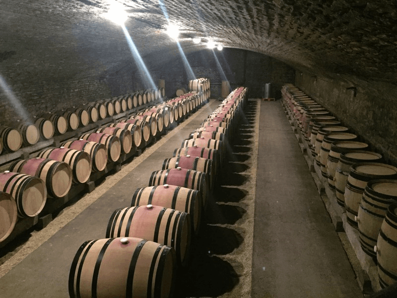 Ladoix-Serrigny Village & Vineyards - Image 1