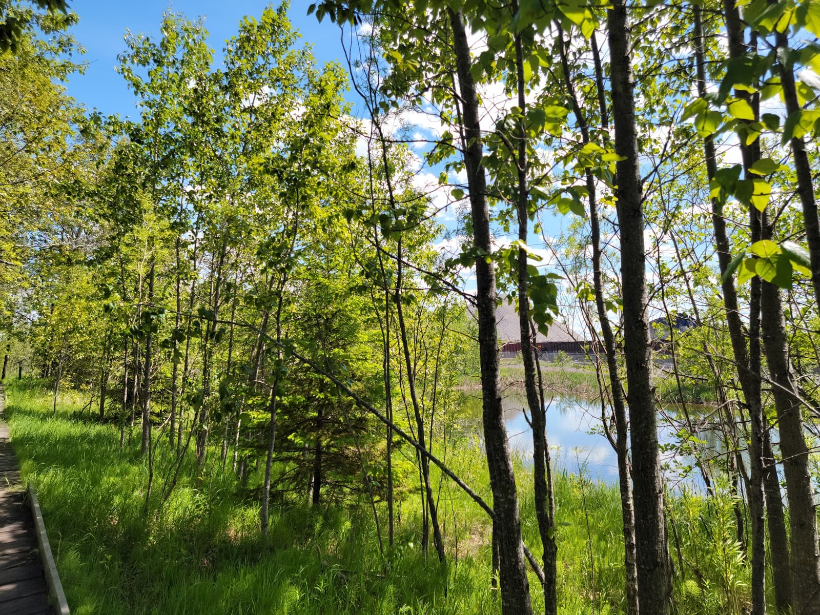 Grassy Point Birding Area - Image 1
