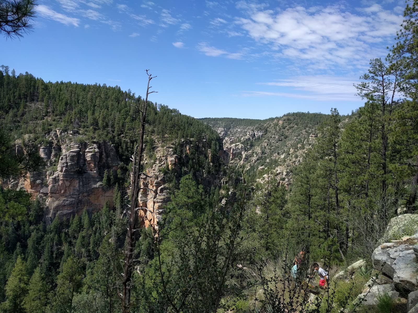 Towering Canyon Walls