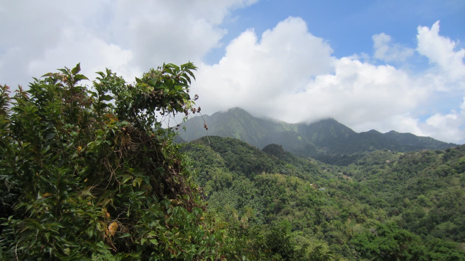 Pitons du Carbet Trails Martinique - Image 1