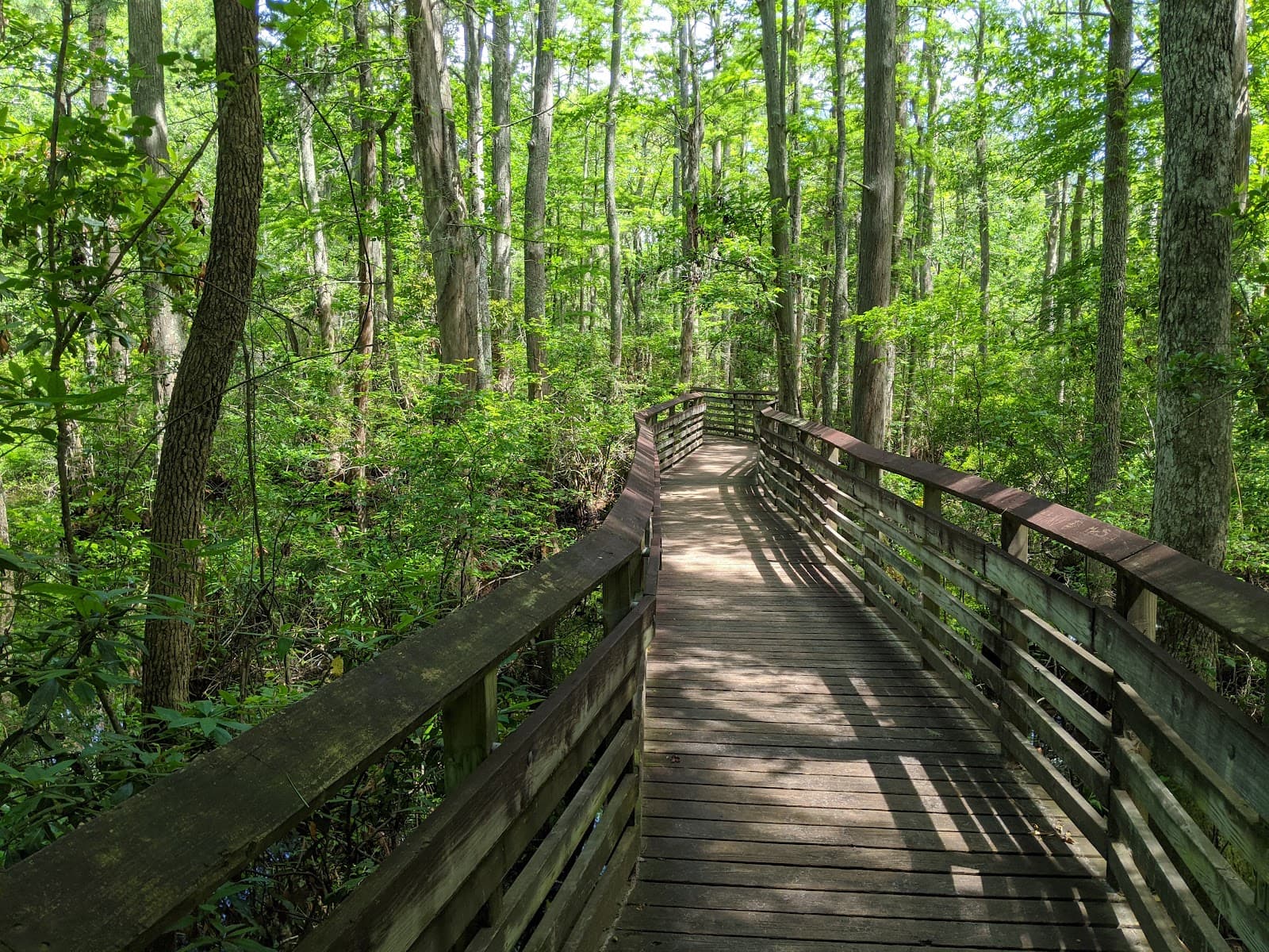 First Landing State Park - Image 1