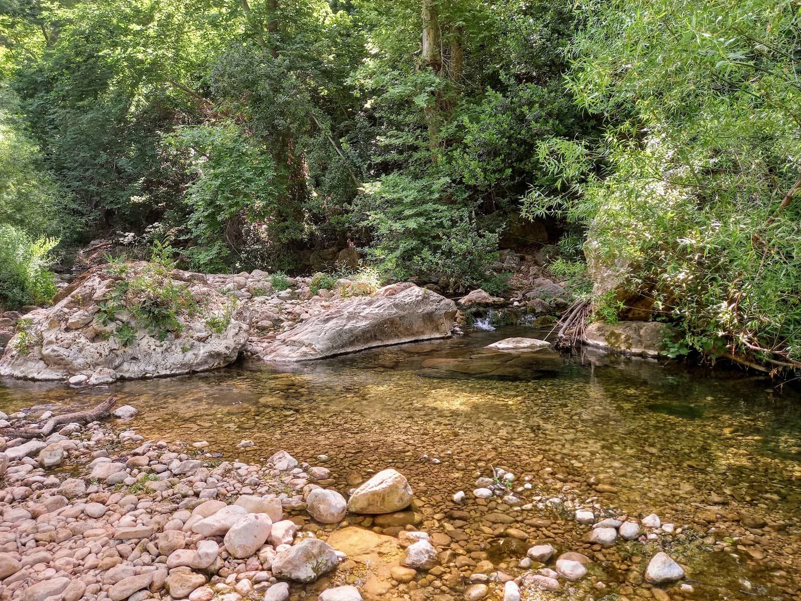Natural Ponds and Pools