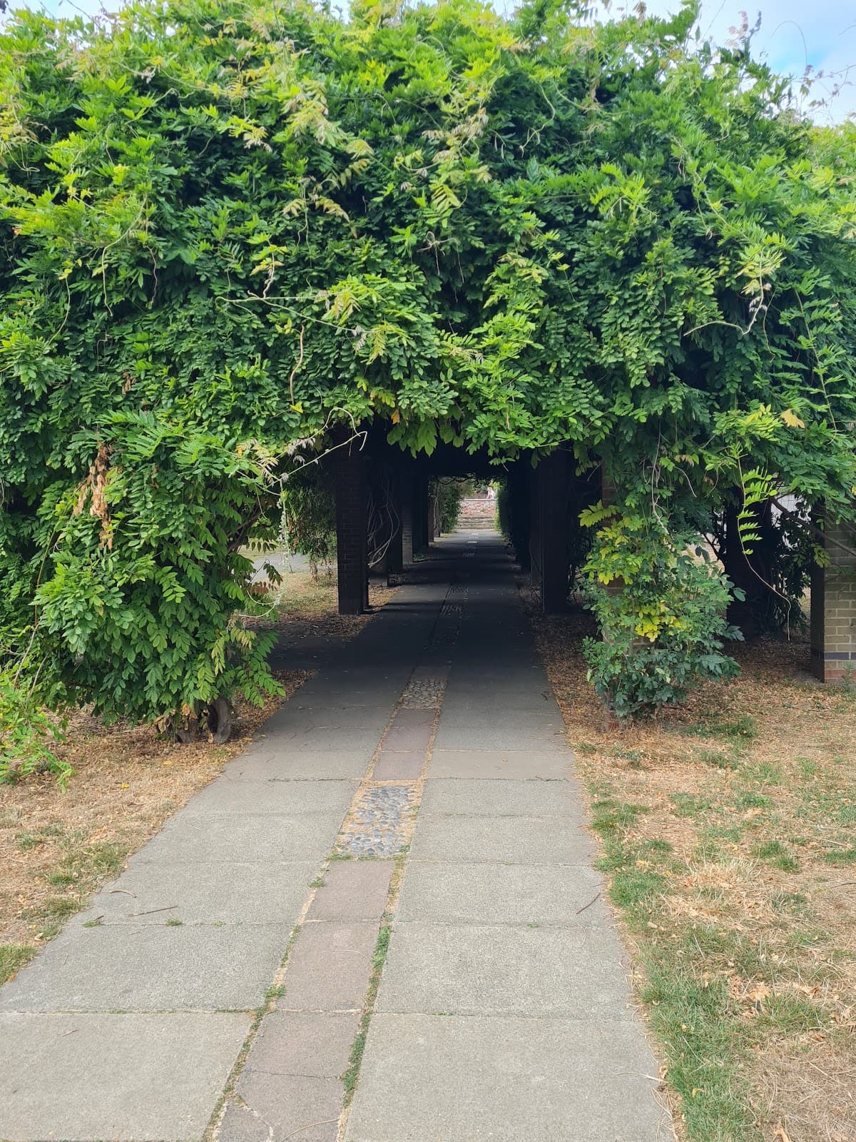 Marke Wood Park - Image 1