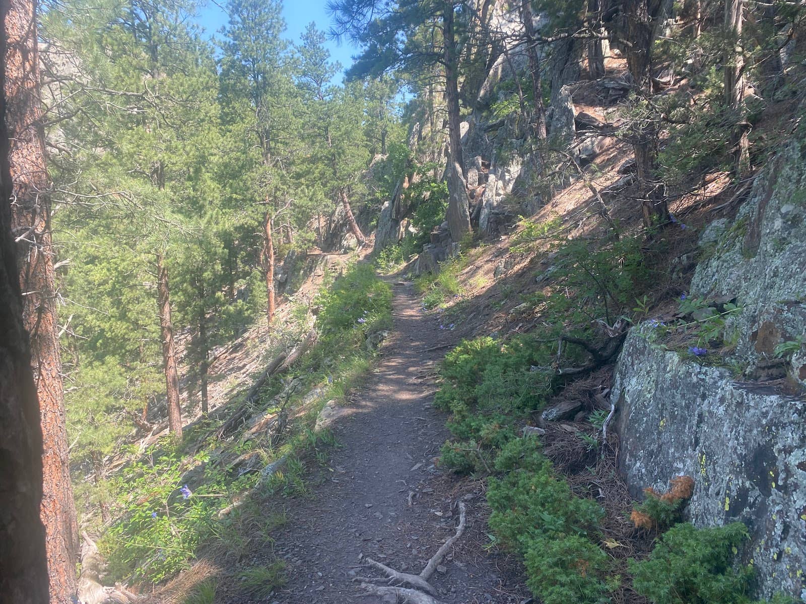 Vertical photo