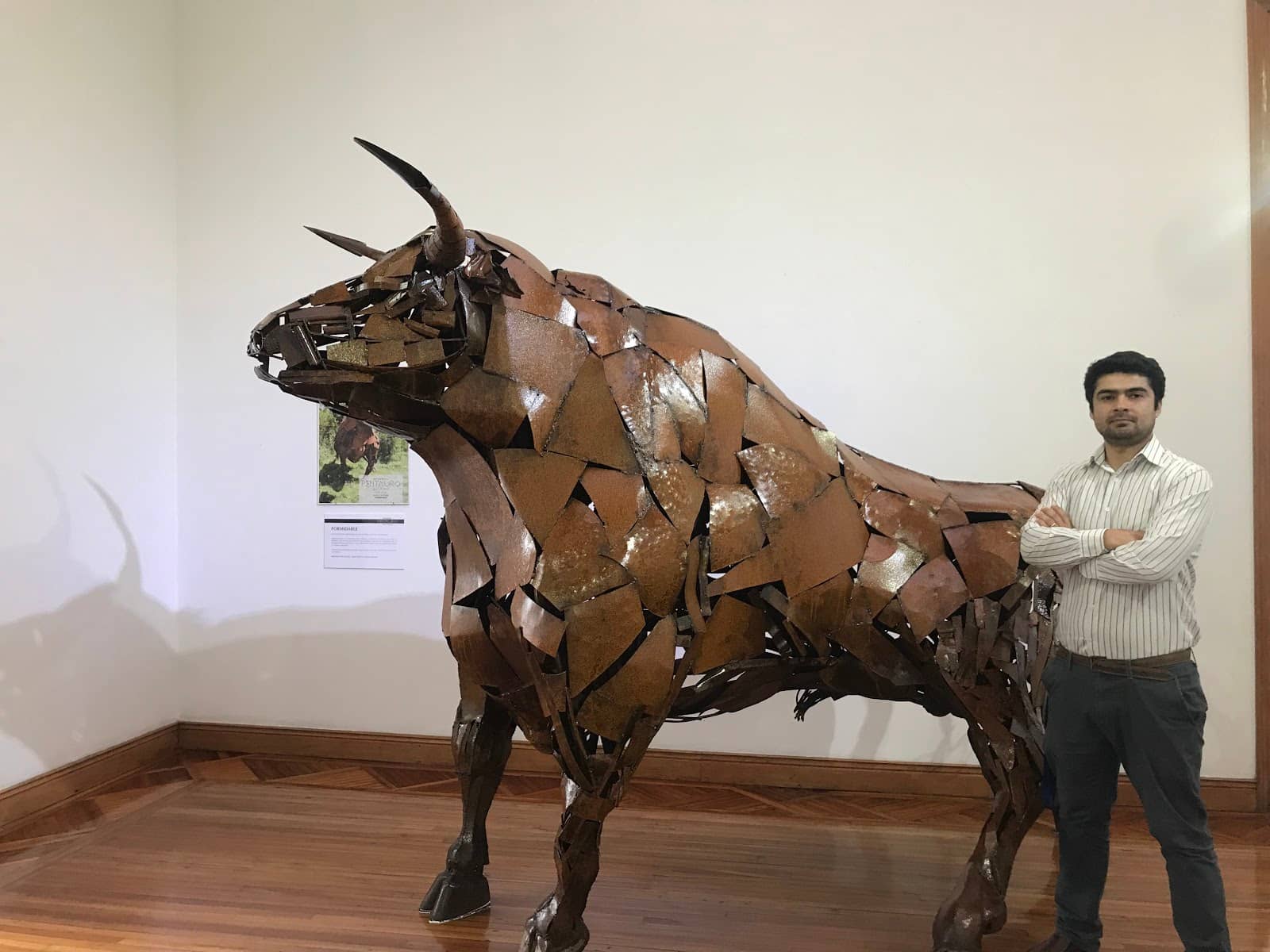 Metal Mesh Sculptures