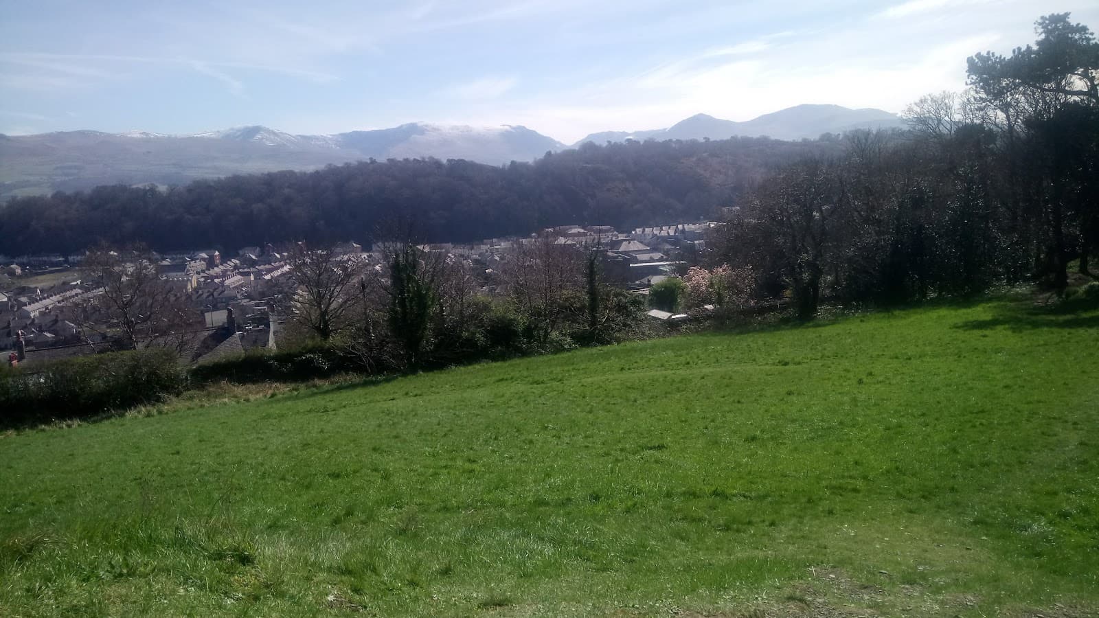Roman Camp (Parc y Bryn) - Image 1