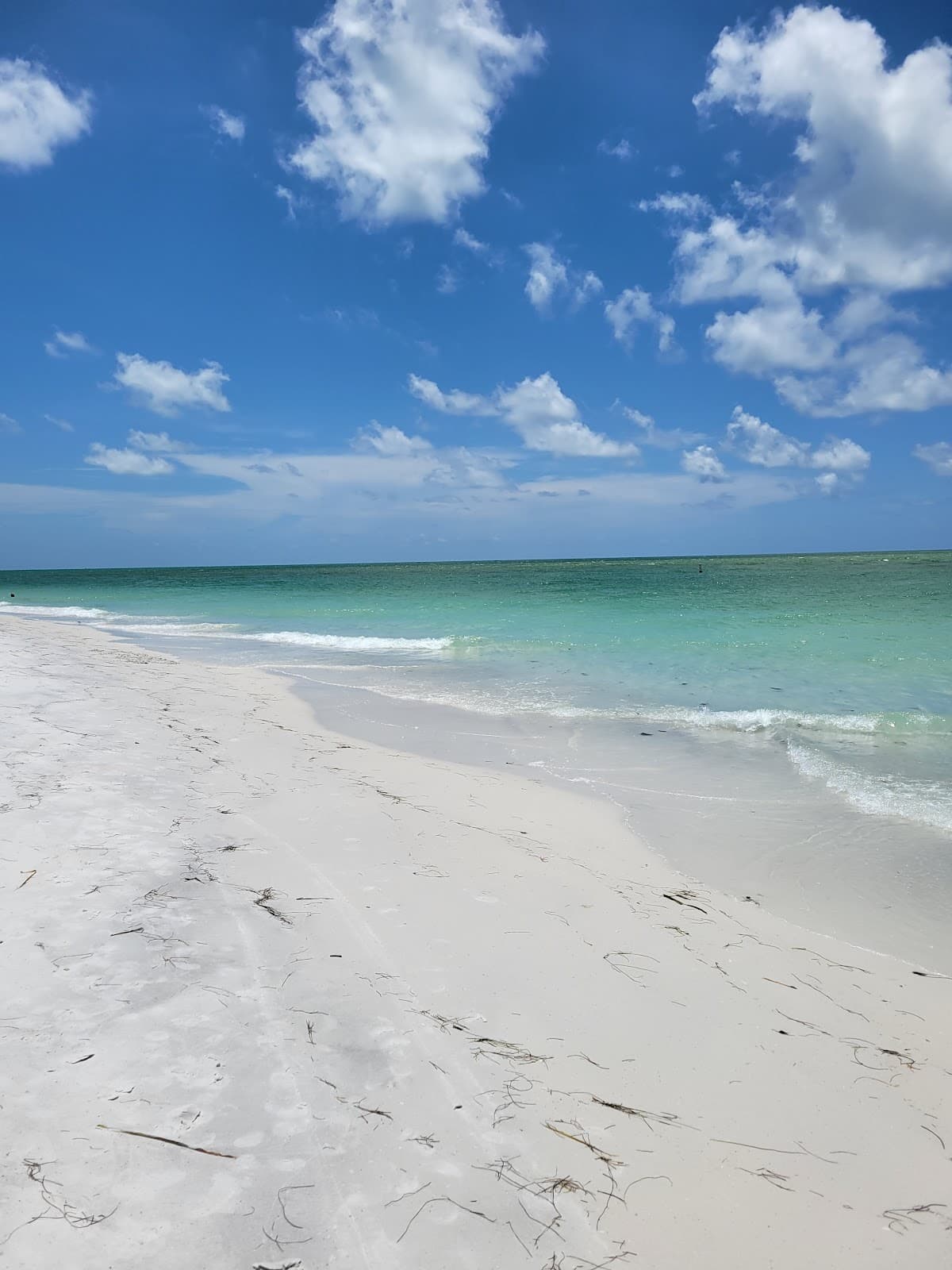 Longboat Key Beaches - Image 1