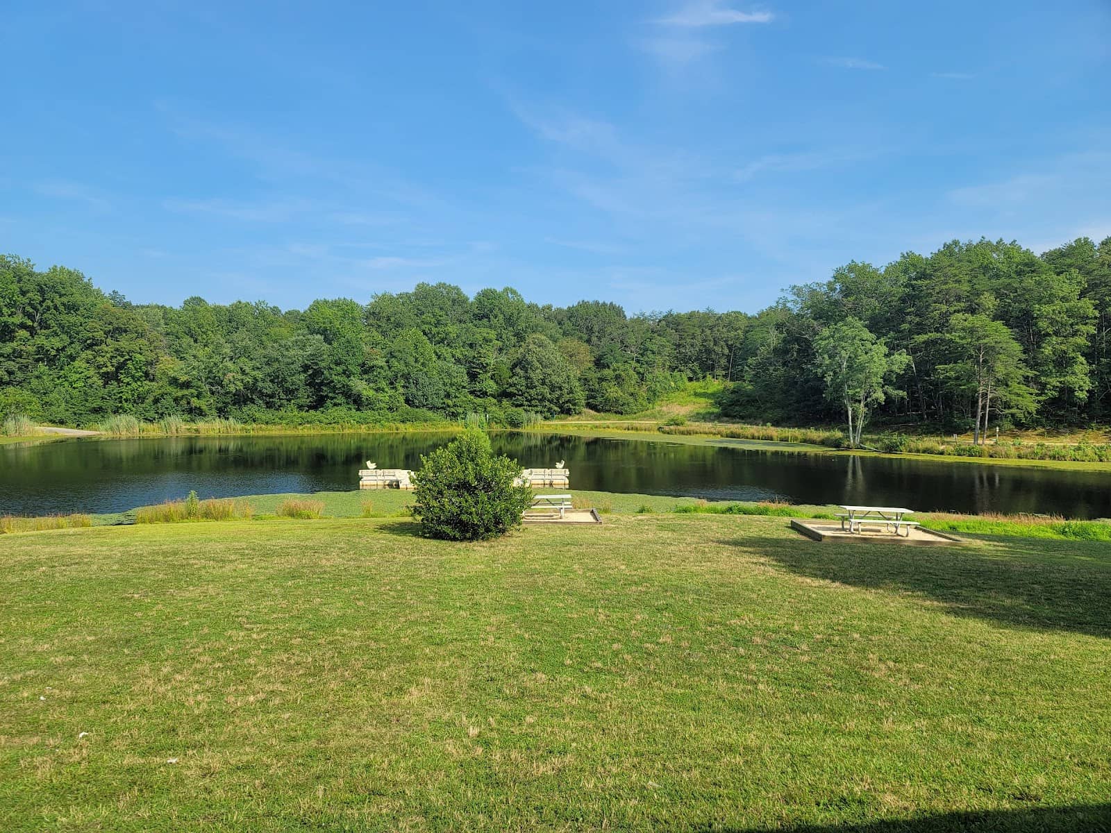 Picnic Pavilion & Amphitheater