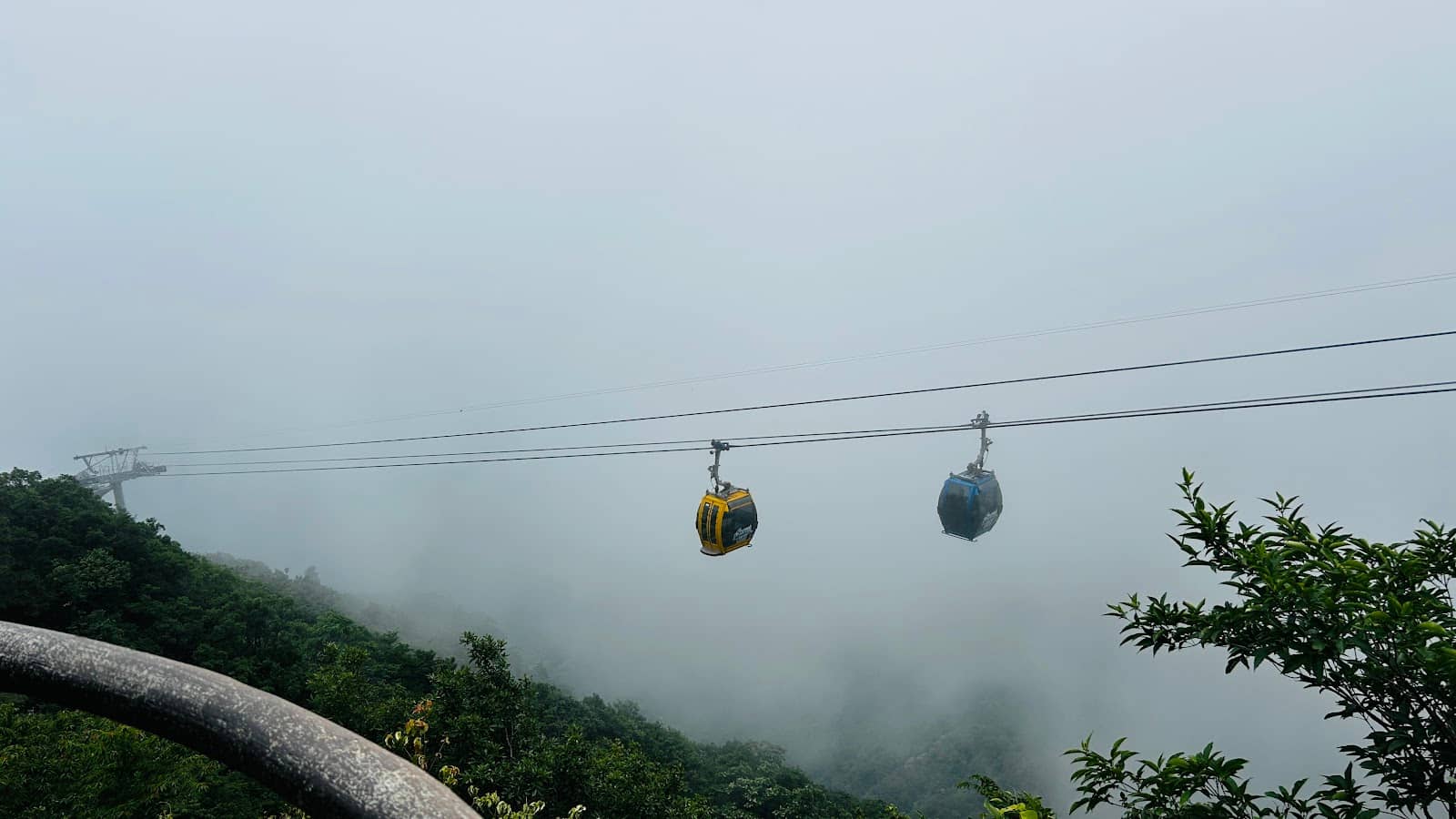 Vertical photo
