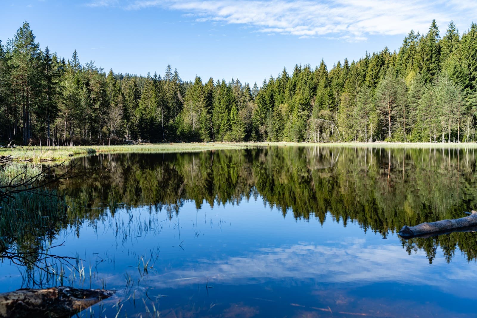 Windgfällweiher - Image 1