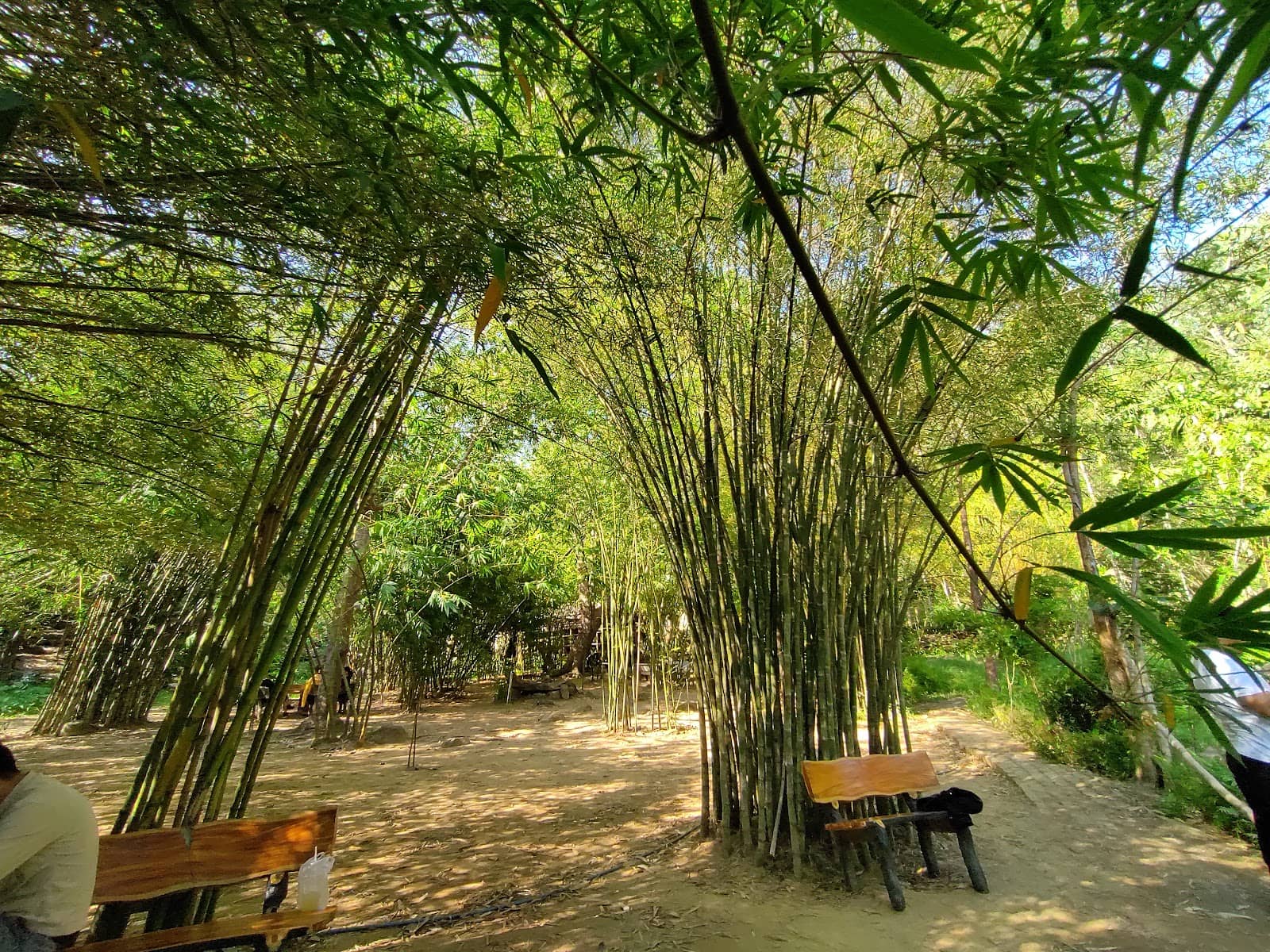 Lady Buddha (Linh Ung Pagoda)