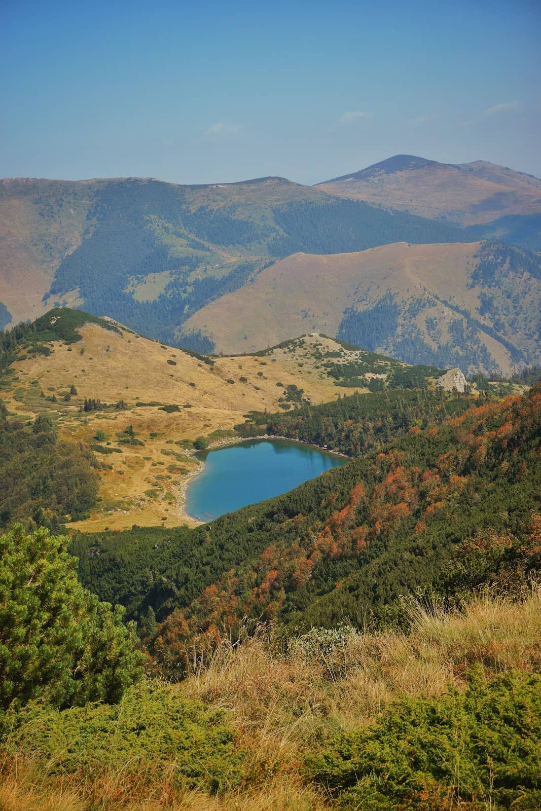 Local Flora and Fauna