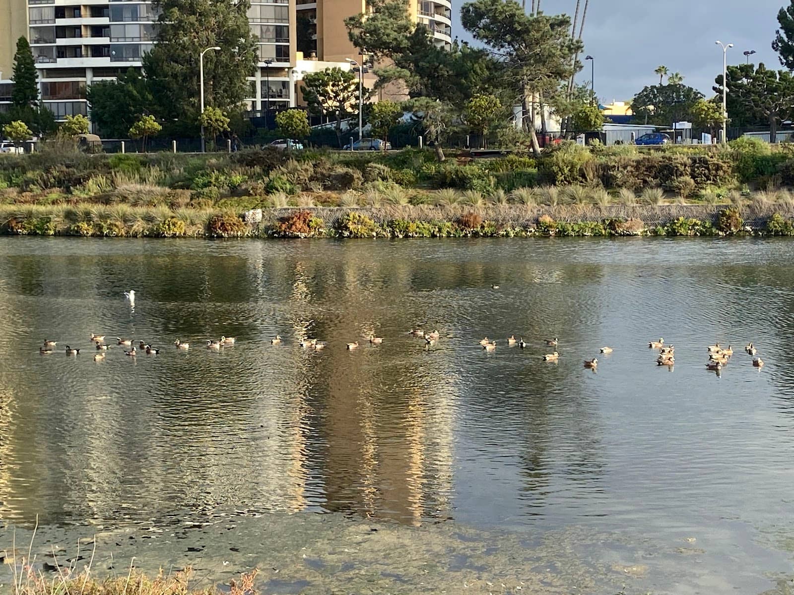 Vertical photo
