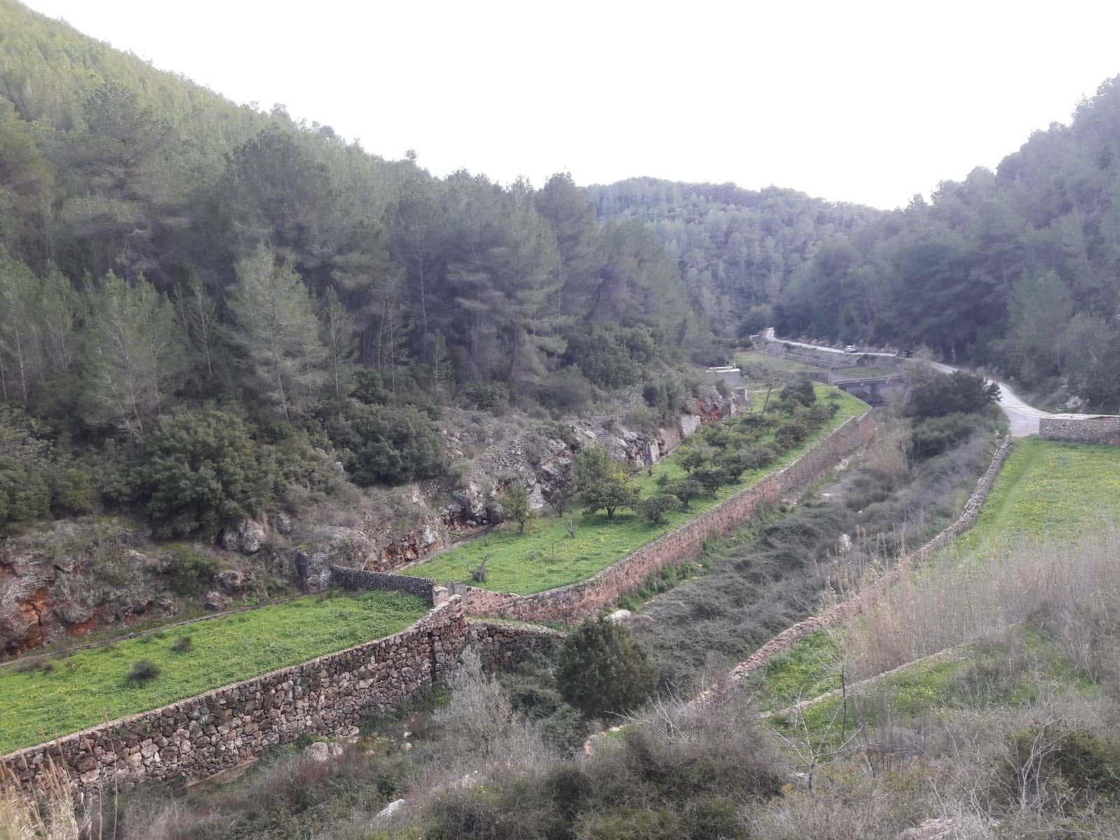Lush Green Valley Walk
