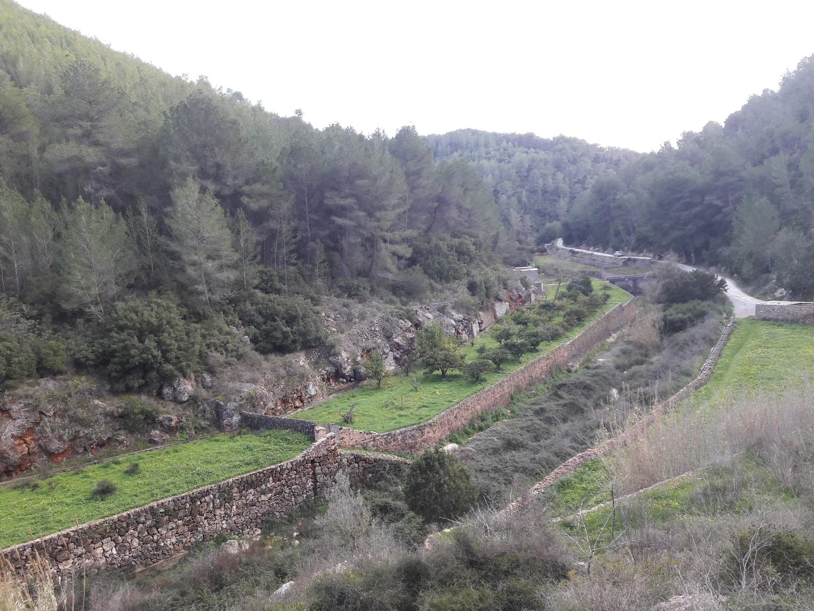 Es Broll de Buscastell - Image 1