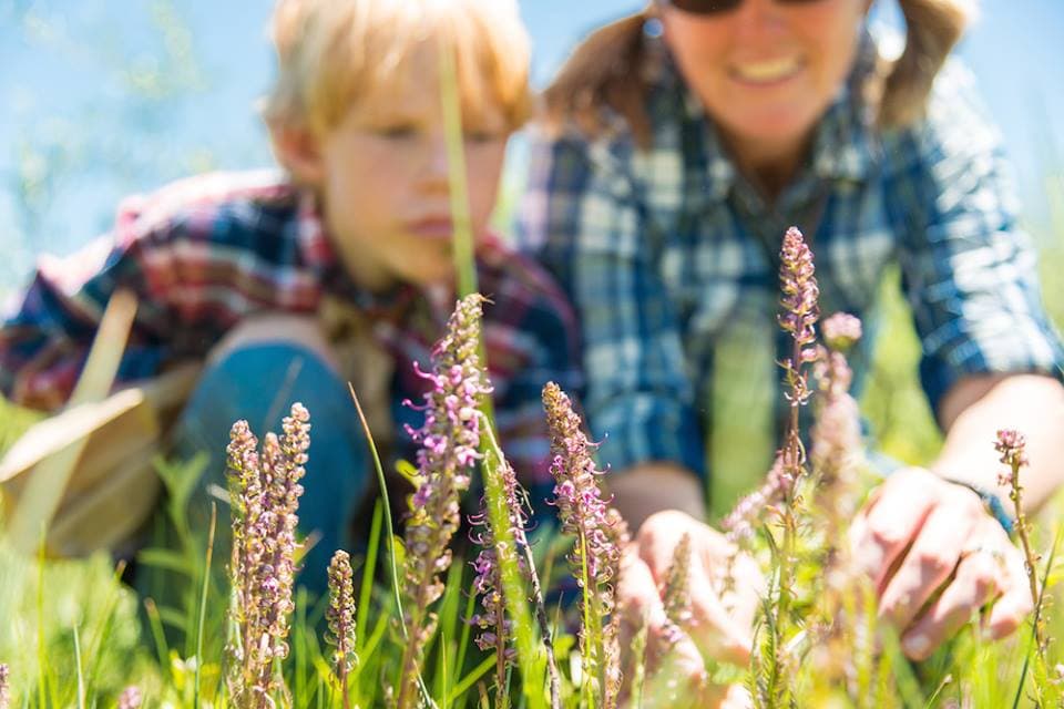 Big Sky ATV Adventure Montana - Image 1