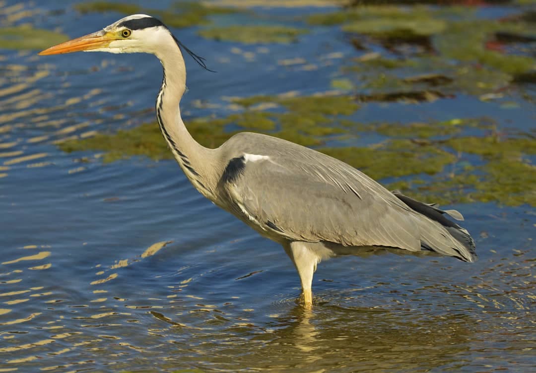 Parco della Bergamella - Image 1