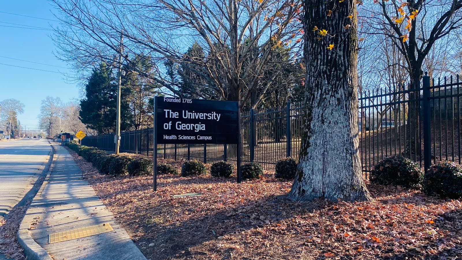 UGA Health Sciences Campus Green Spaces, Athens - Image 1