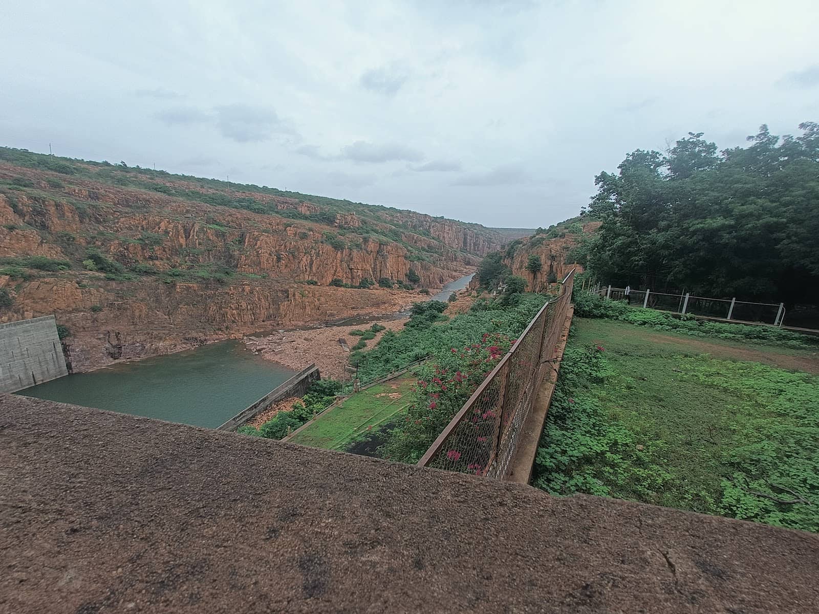 Lush Monsoon Surroundings