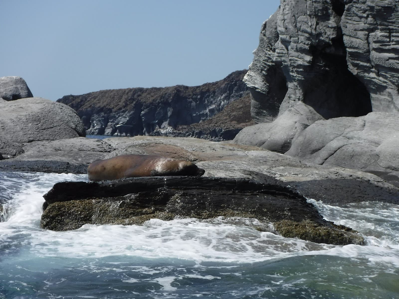 Isla del Carmen - Image 1