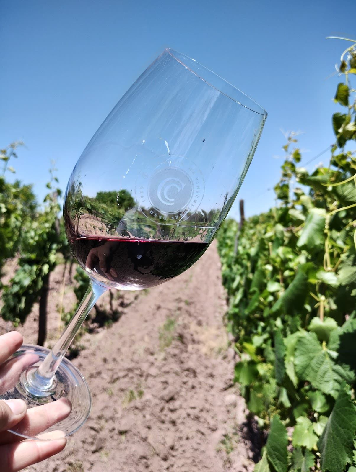 Bodega Familia Cecchin - Image 1