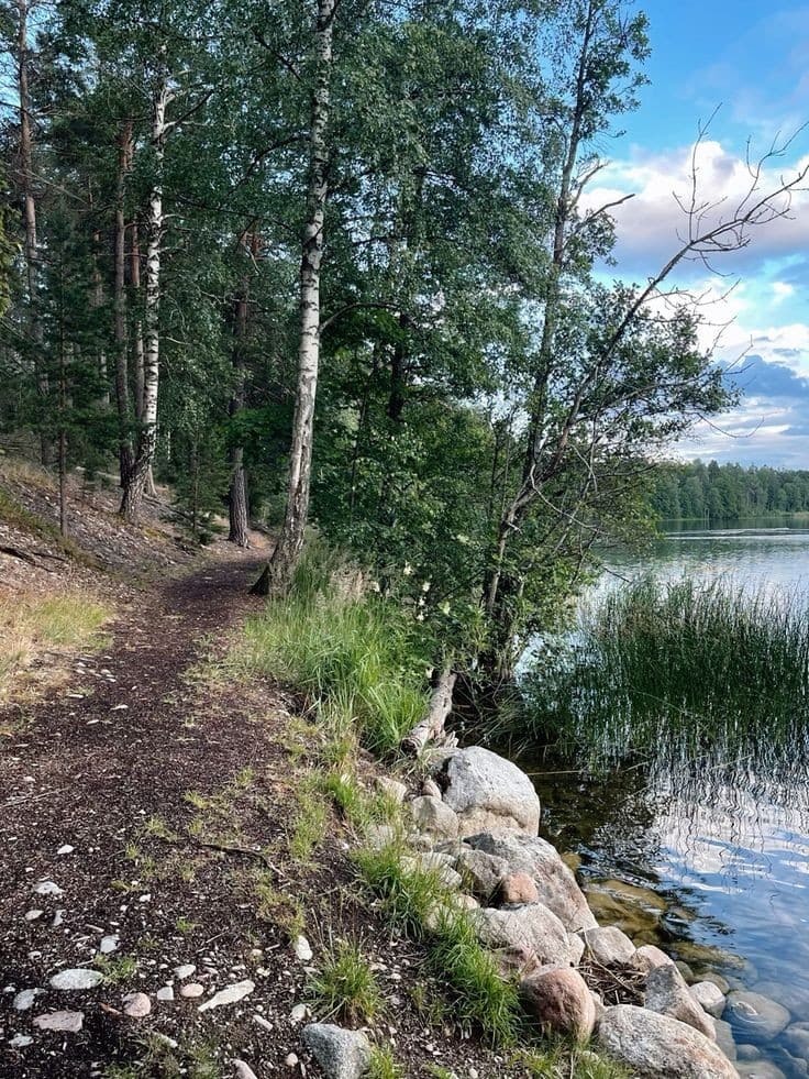 Halmsjön Beach - Image 1