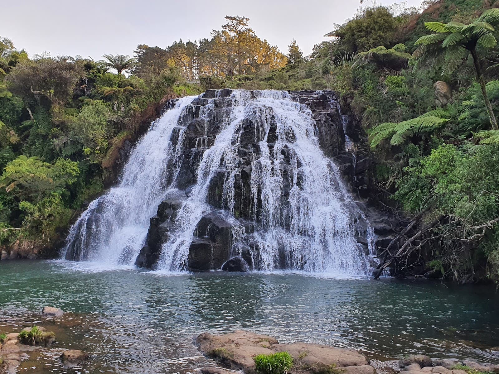 Owharoa Falls - Image 1