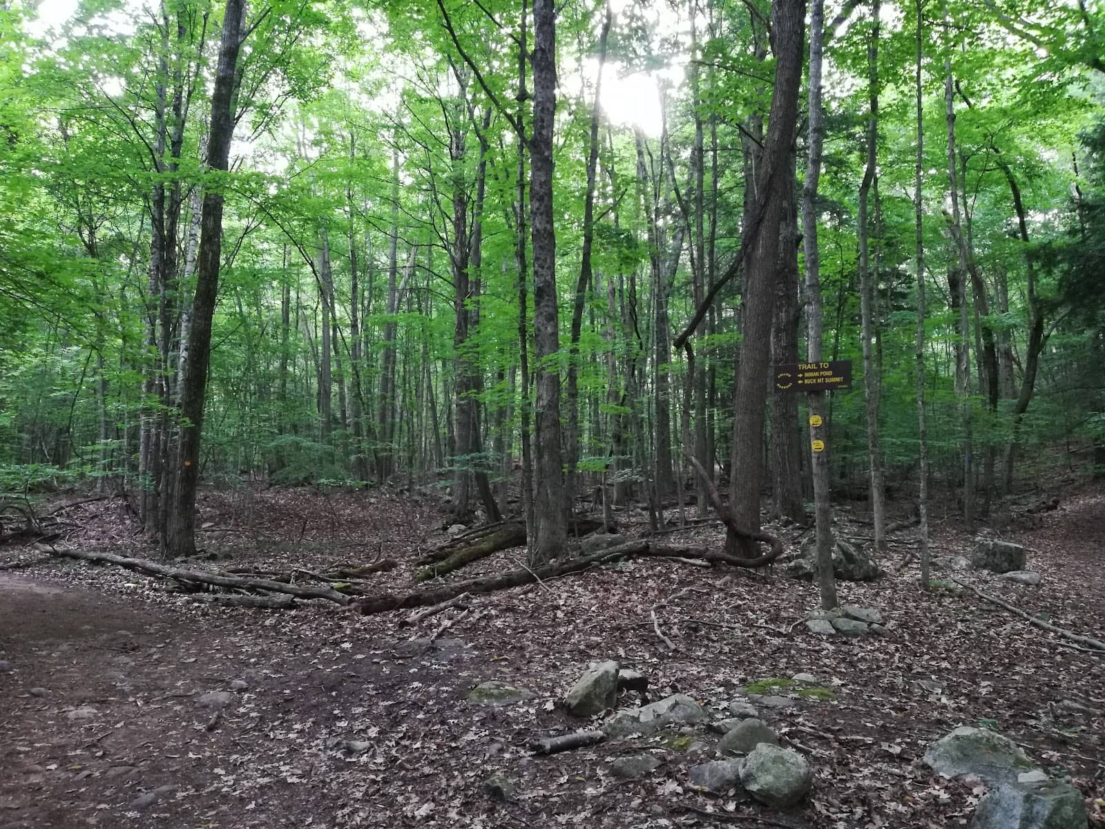 Vertical photo
