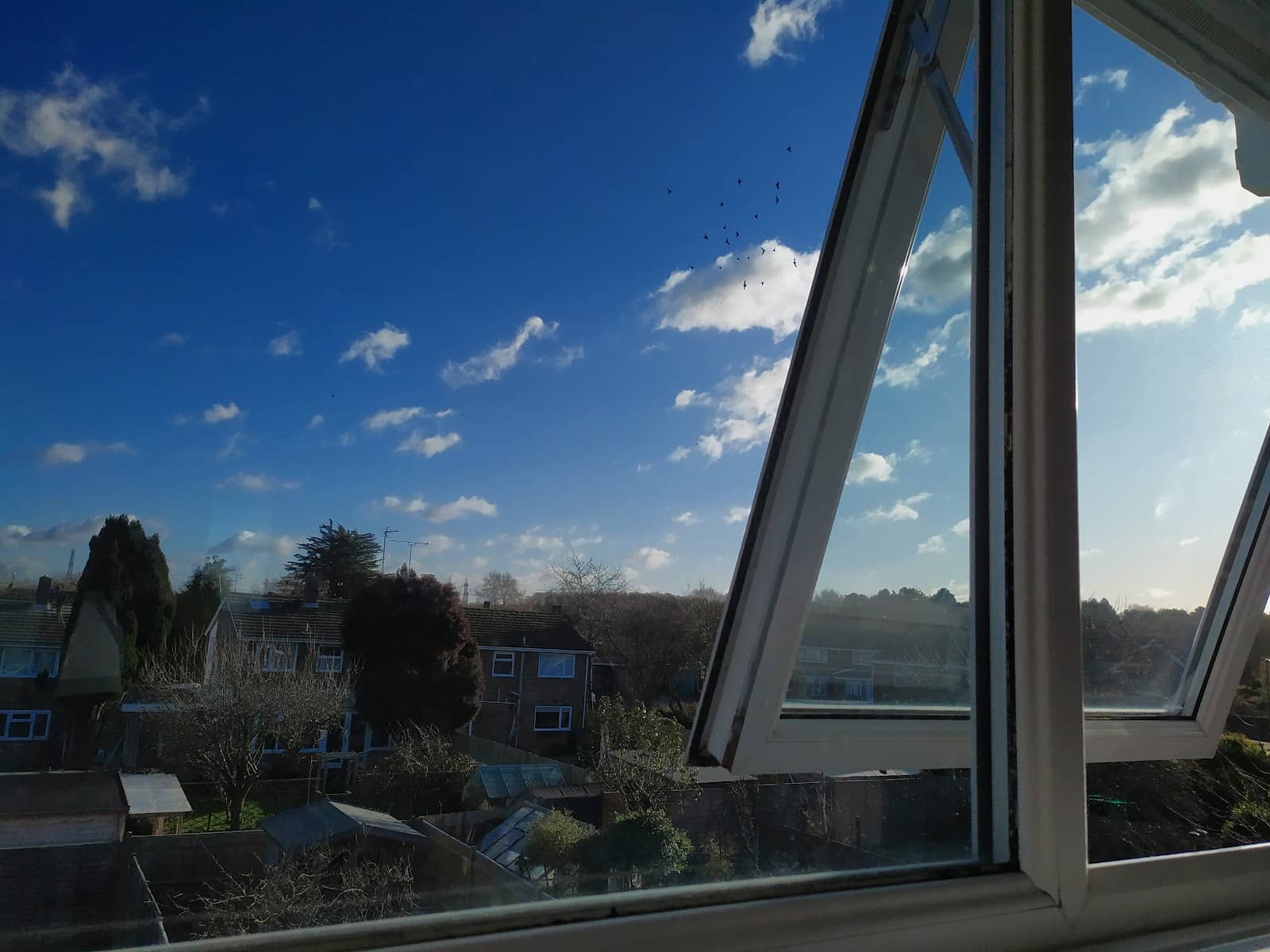 Uncle Sams Local Gem