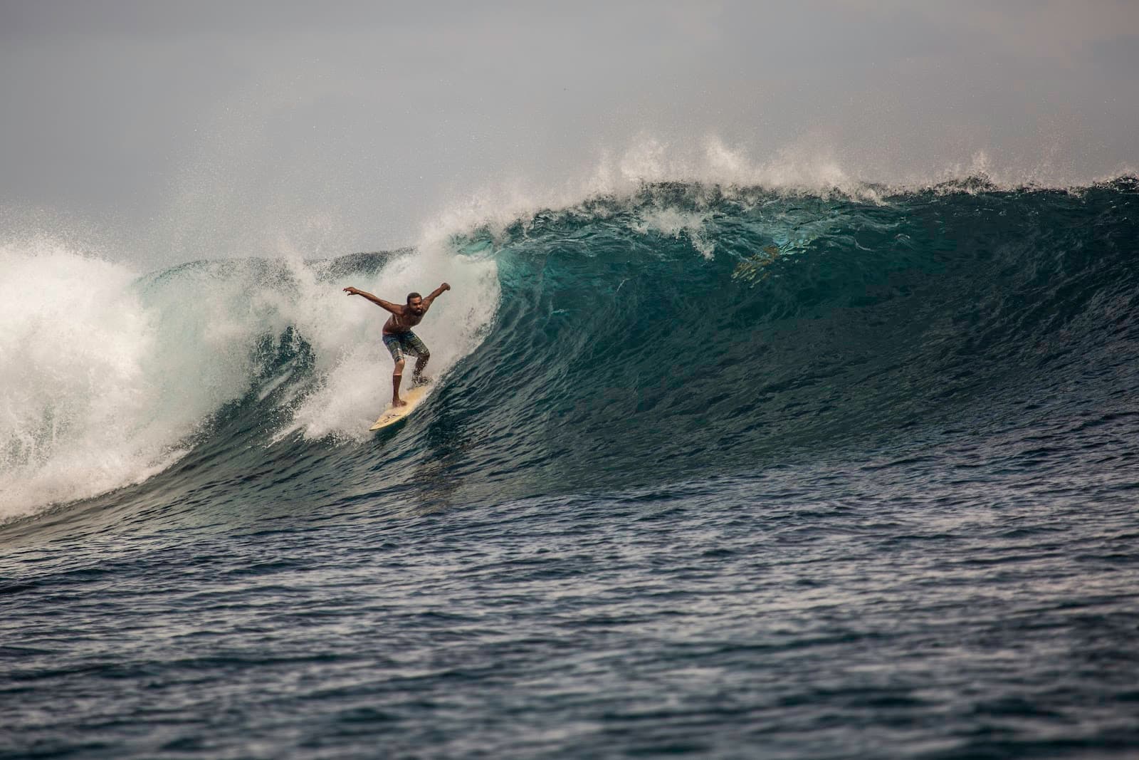 Tiger Stripes Gaafu Dhaalu - Image 1